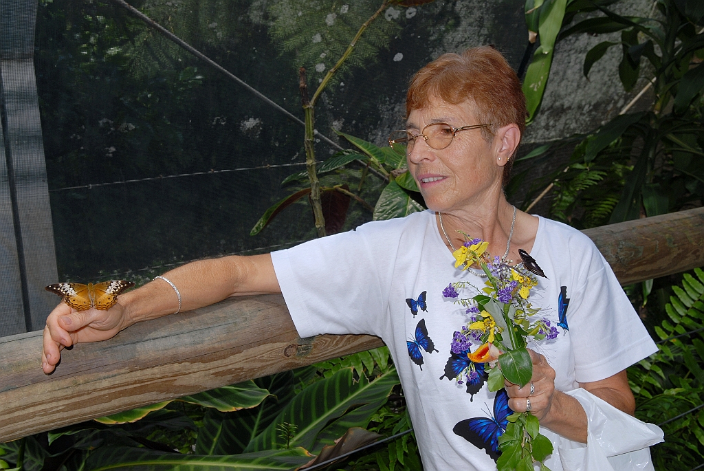 0682 Butterfly Sanctuary Kuranda.jpg